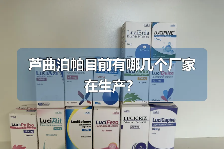 芦曲泊帕目前有哪几个厂家在生产？