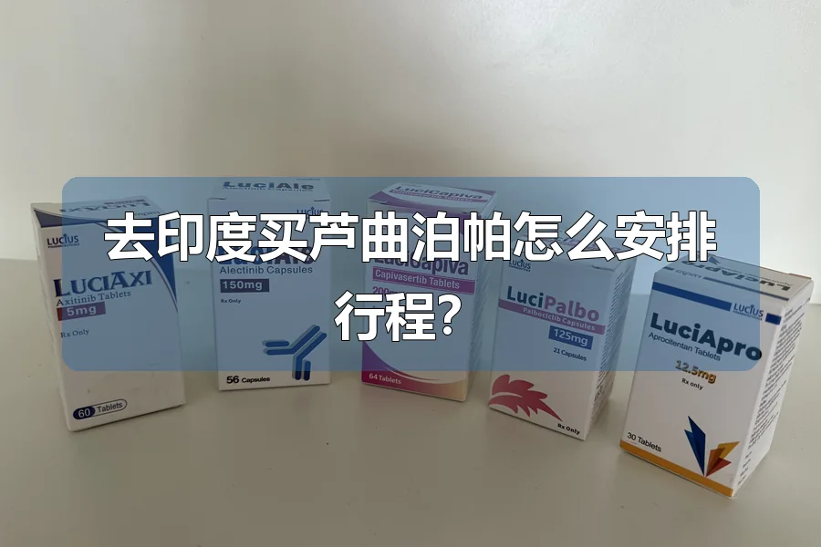 去印度买芦曲泊帕怎么安排行程?
